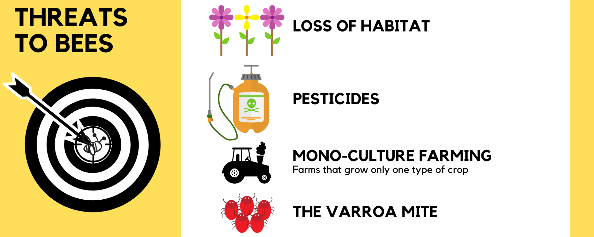 Threats to bees: Loss of habitat, pesticides, mono-culture farming (farms that grow only one type of crop), and the varroa mite