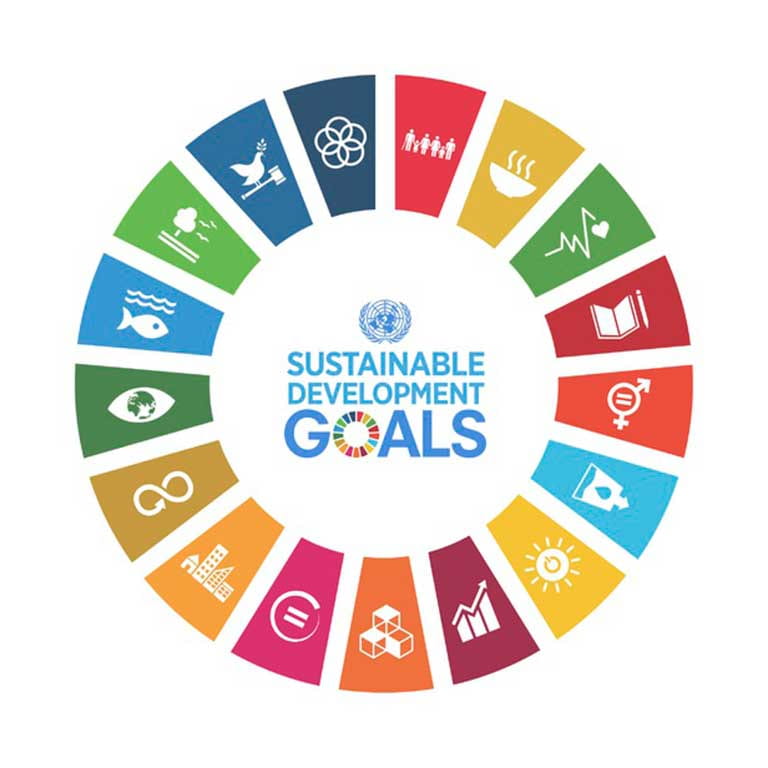 Circle image detailing the UN Sustainability Goals
