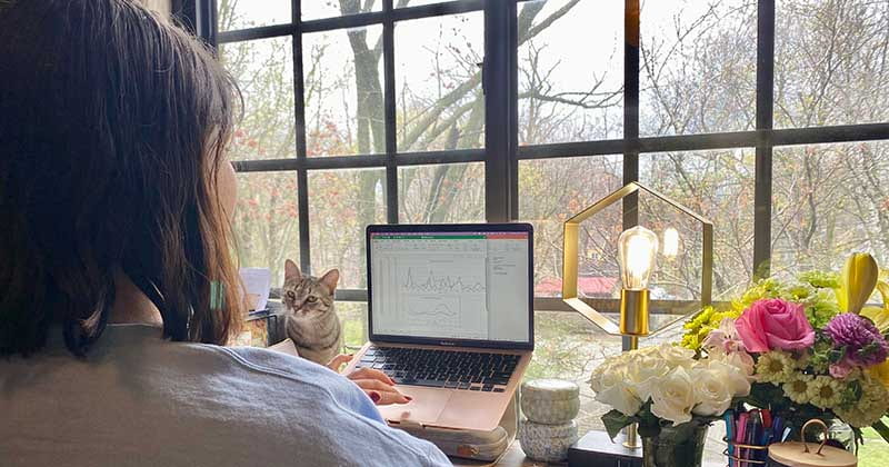 A woman sits with her back to the camera, looking at a graph on her laptop. Her desk is in front of a window and her cat is laying on her desk near a lamp.